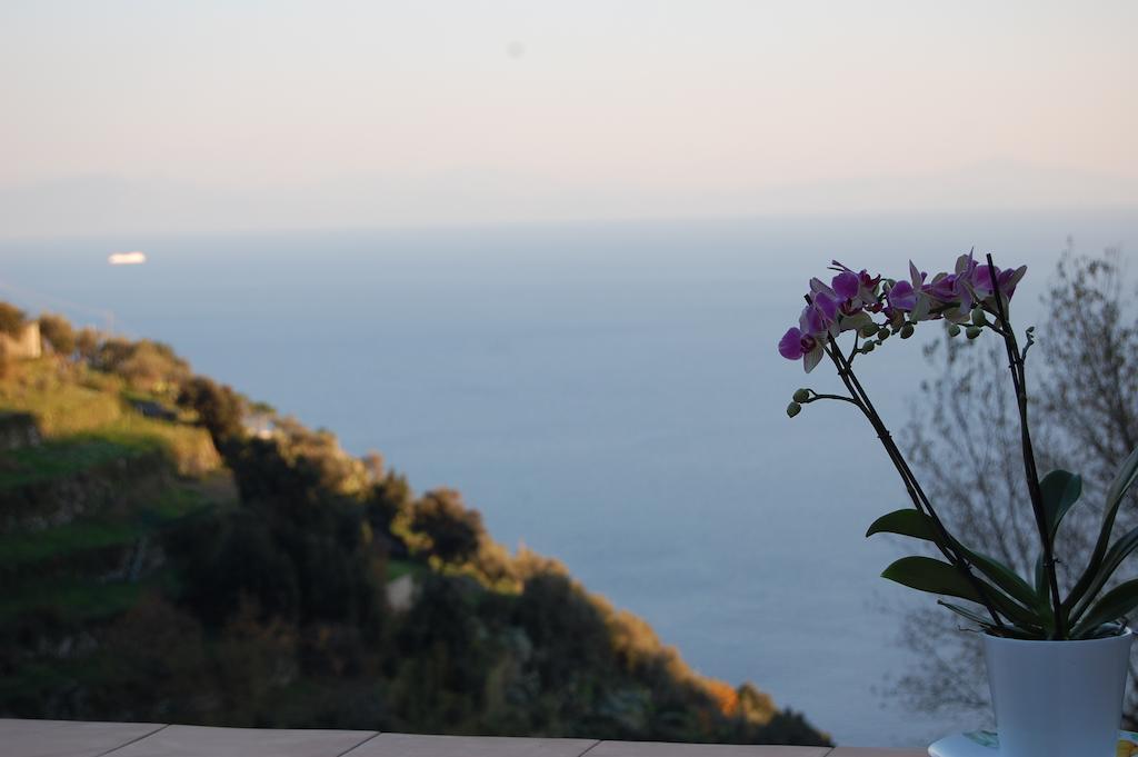 Tenuta Mamma Carmela Amalfi Exteriör bild